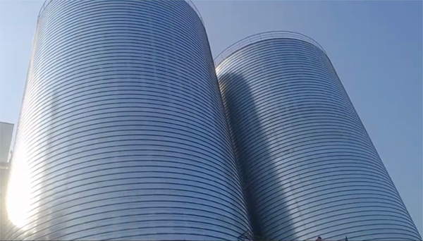 忠县2座混凝土高架卷板仓